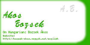 akos bozsek business card